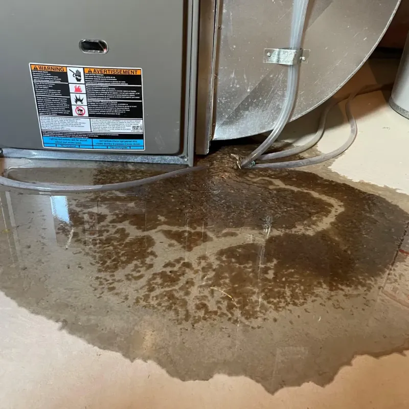 Appliance Leak Cleanup in Otoe County, NE